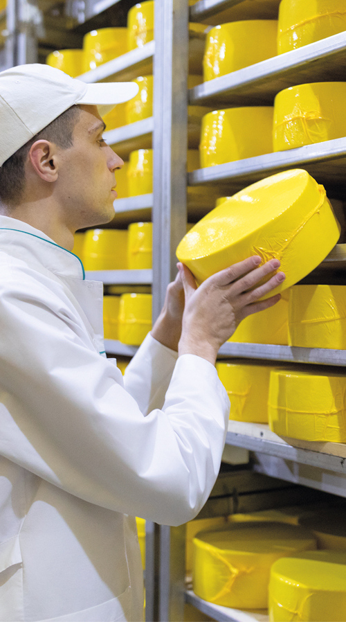 Milchtechnologe (m/w/d)