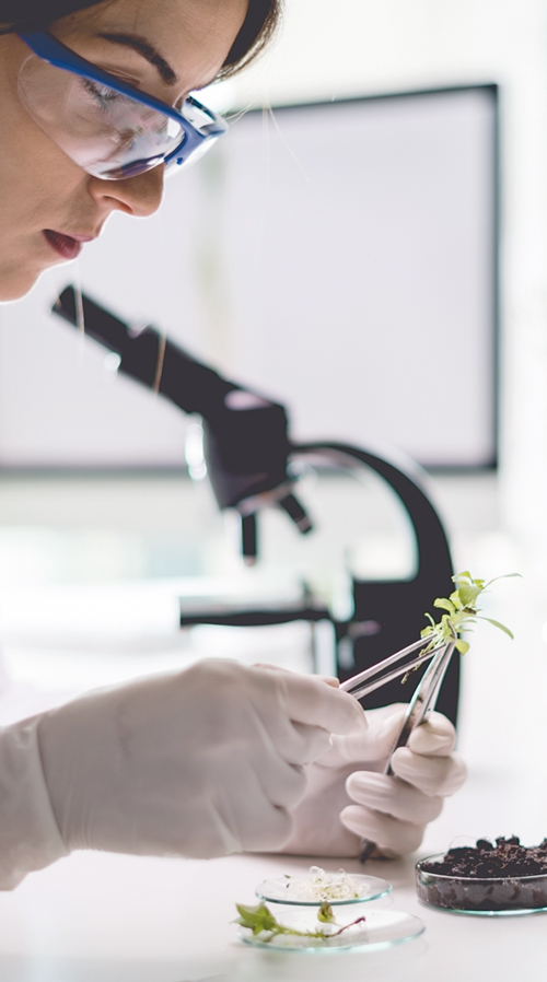 Biologisch-technischer Assistent (m/w/d)