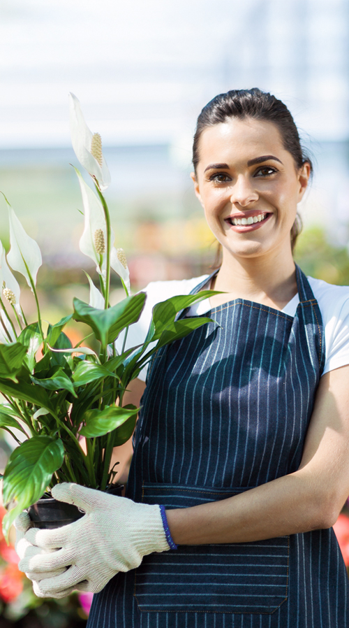 Fachpraktiker Gartenbau (m/w/d)