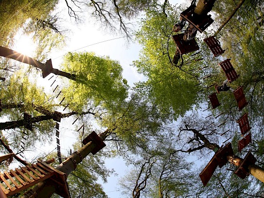 Waldkronen mit Kletterelementen, mit Holz und Seilen  aus der Perspektive am Boden.