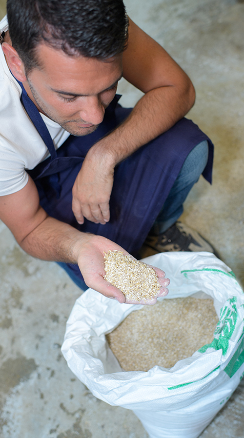 Verfahrenstechnologe Mühlen- und Getreidewirtschaft (m/w/d)